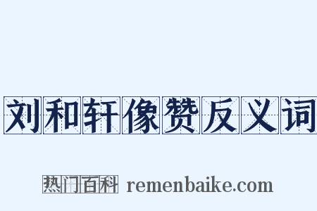 刘和轩像赞反义词是什么意思的图片